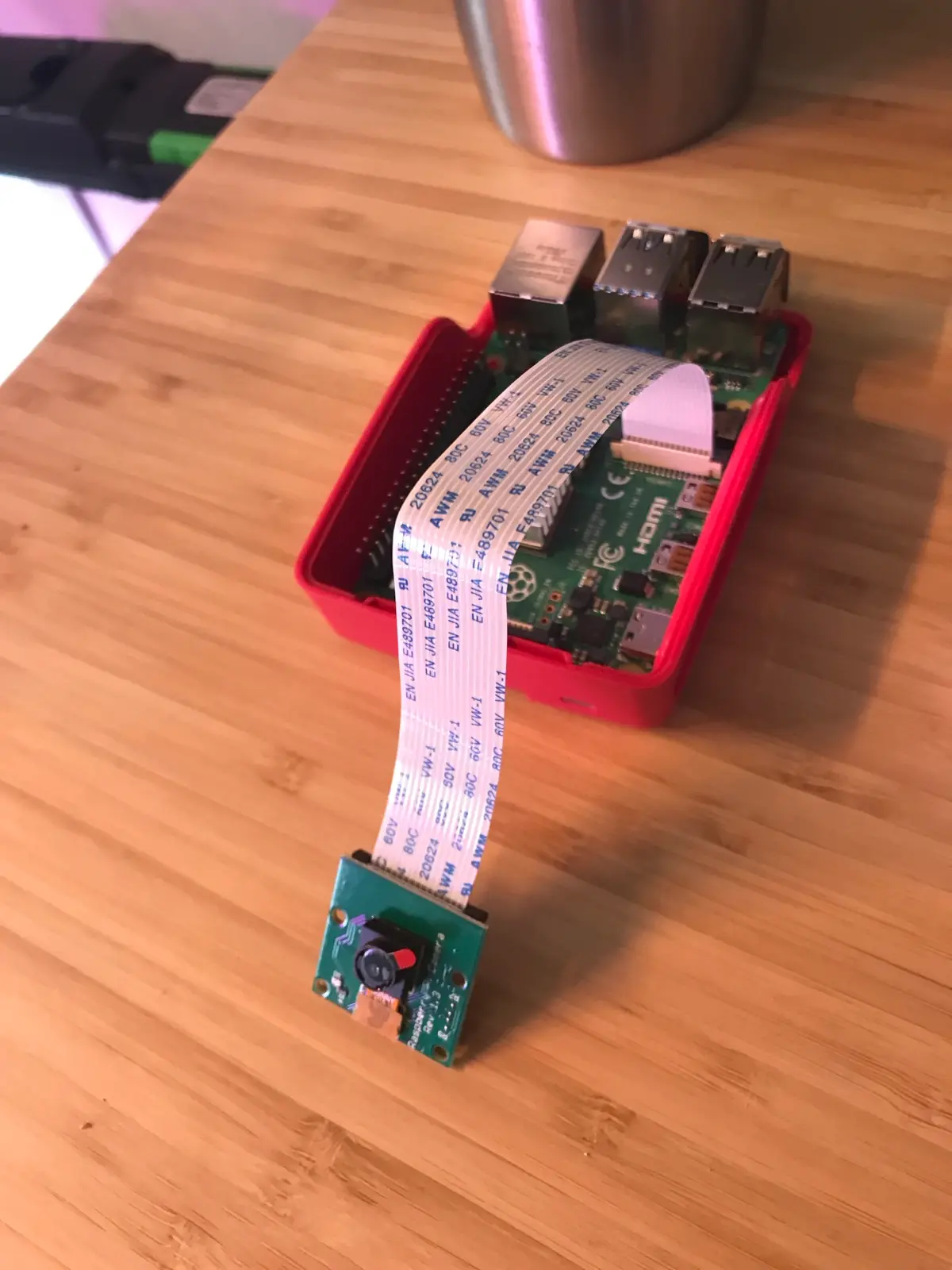 Raspberry Pi with the camera module connected