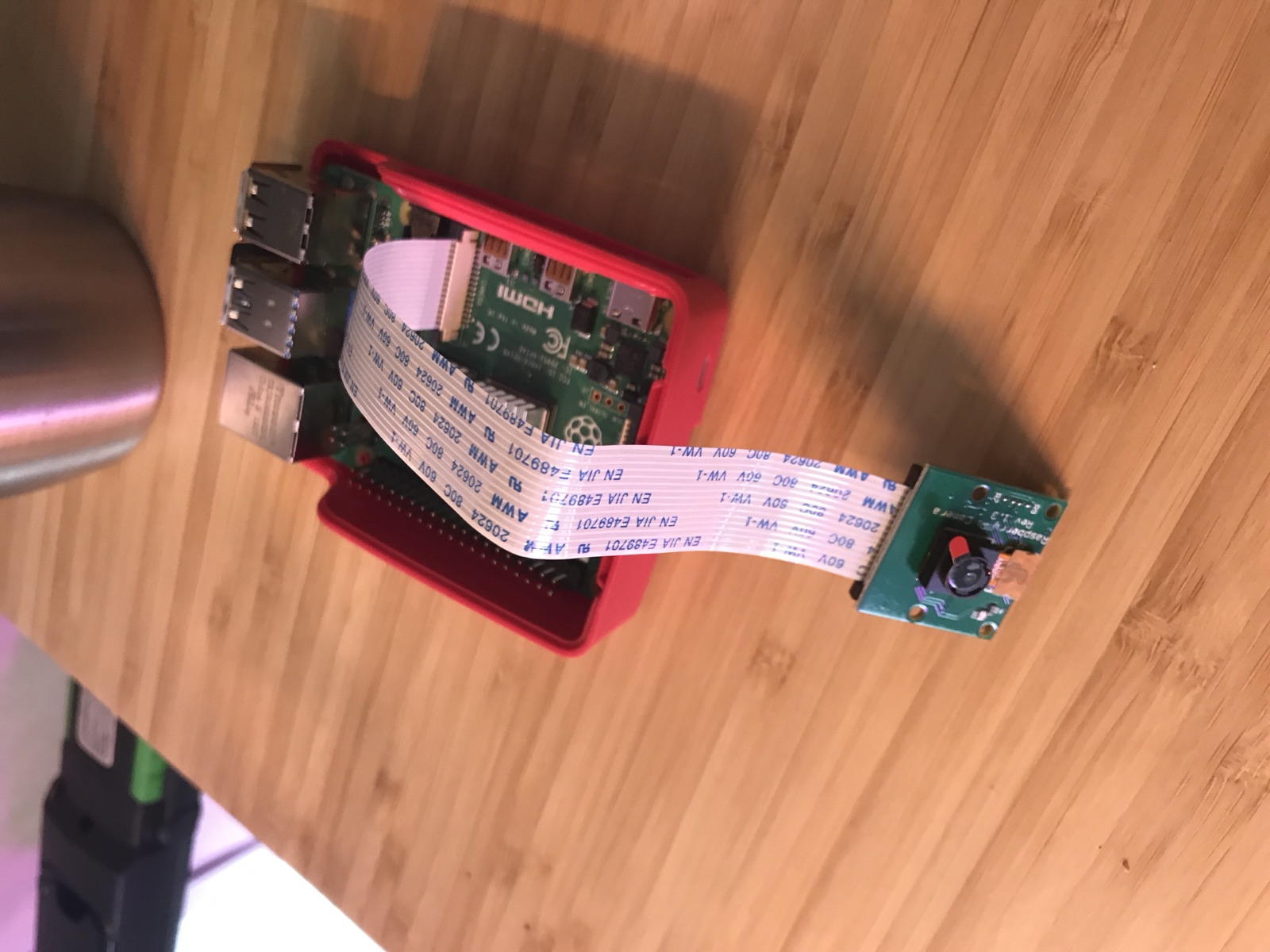 Raspberry Pi with the camera module connected