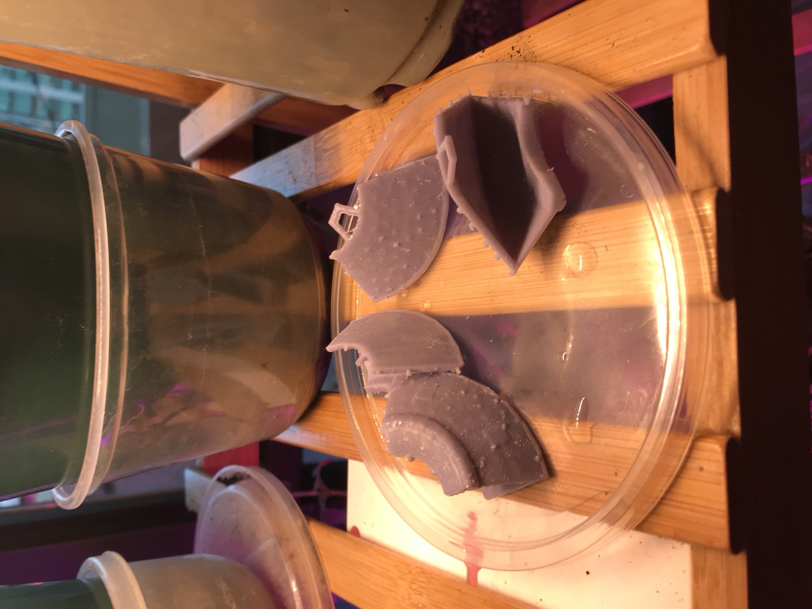Pieces of the small resin test print